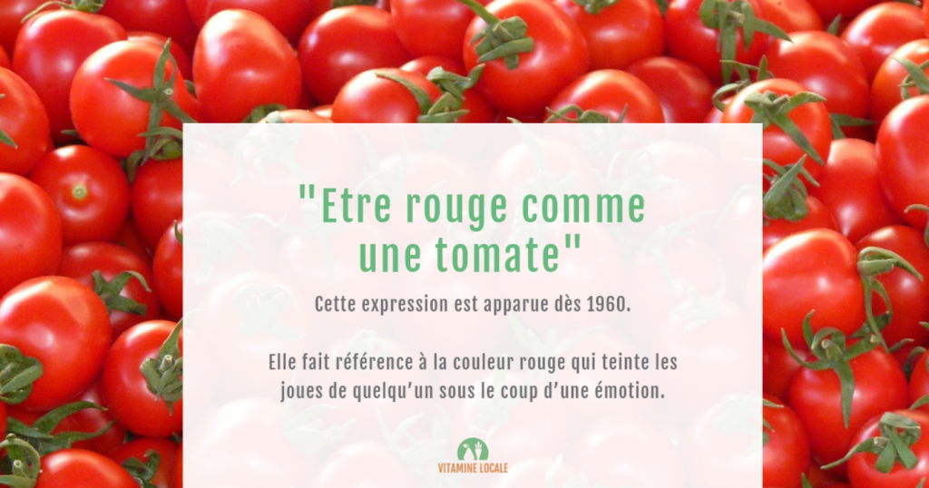 expression tomates
