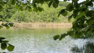 Lac de Montorge