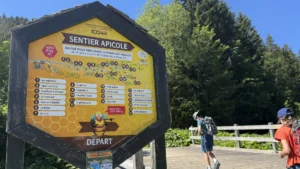 Sentier didactique des abeilles de Morgins