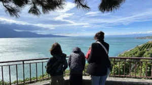 Le Lavaux Express à Cully