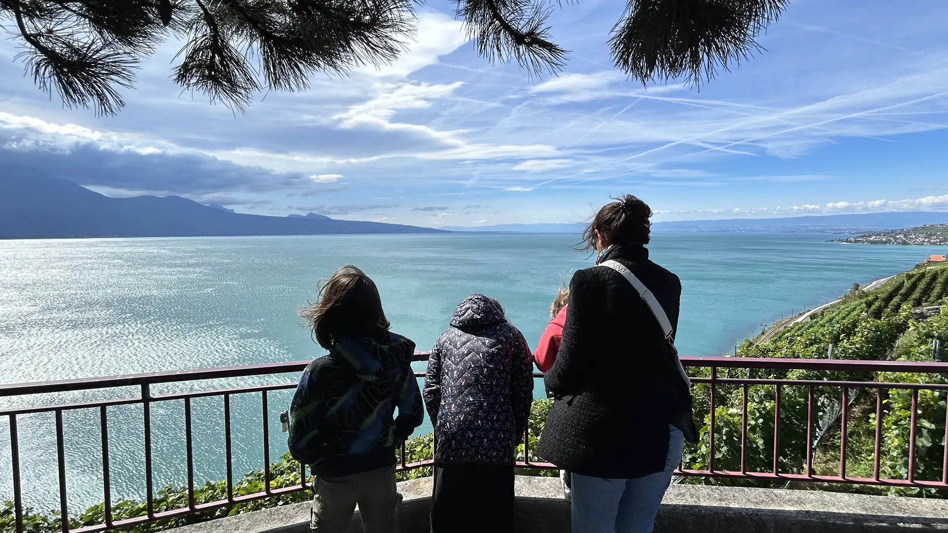 Le Lavaux Express à Cully