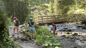 Sentier des ponts et Vallon de They