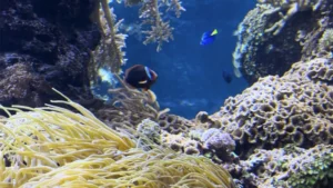 Aquatis Aquarium-Vivarium de Lausanne