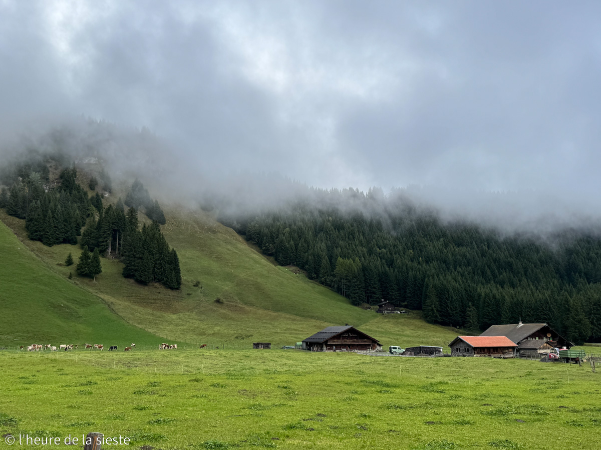 Randonnée Sentier nature, plateau de Barme, Champéry, Valais