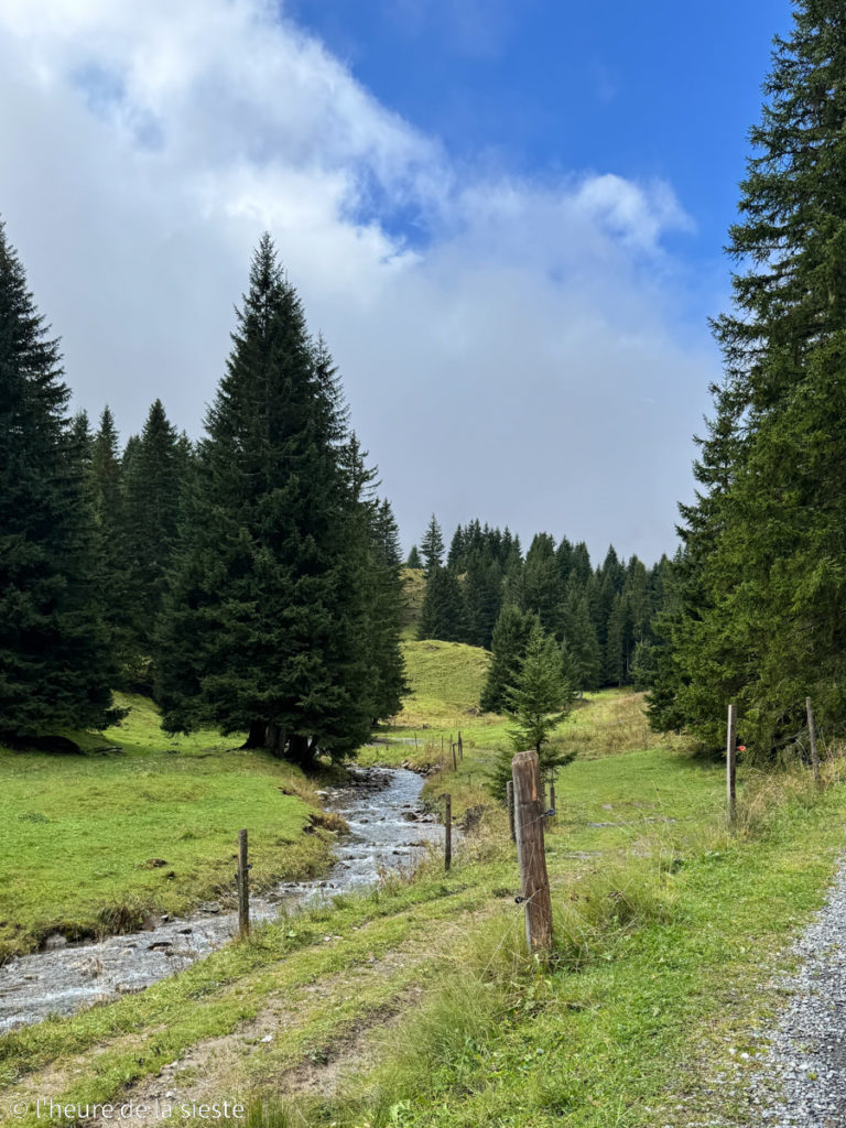Randonnée Sentier nature, plateau de Barme, Champéry, Valais