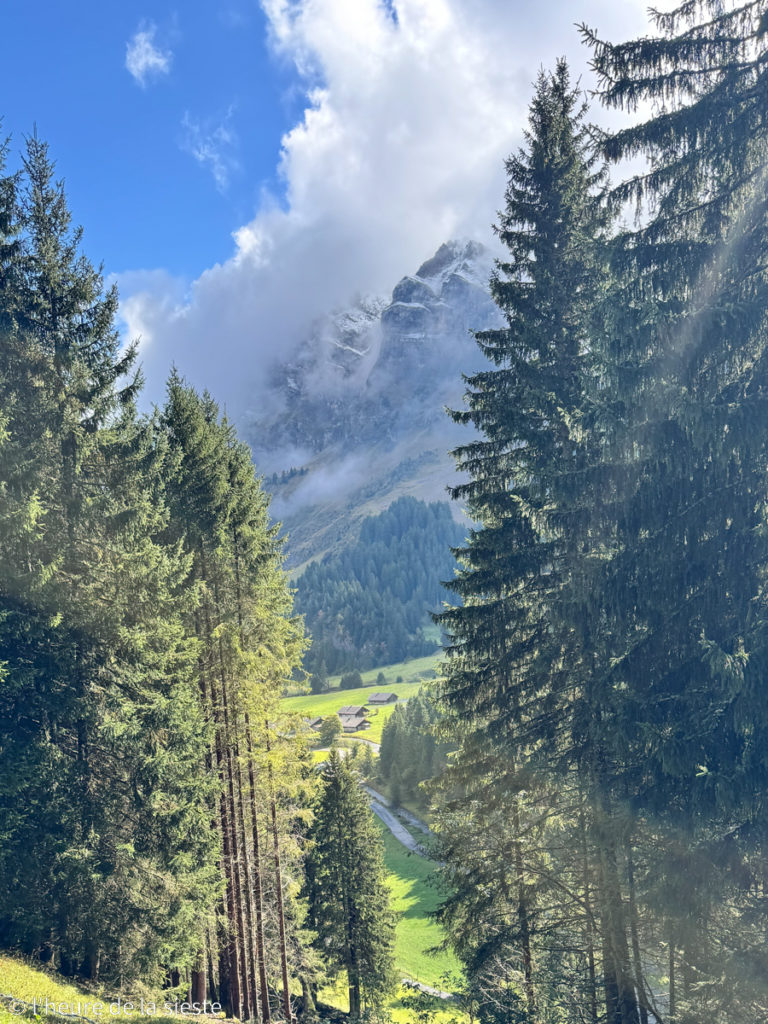 Randonnée Sentier nature, plateau de Barme, Champéry, Valais
