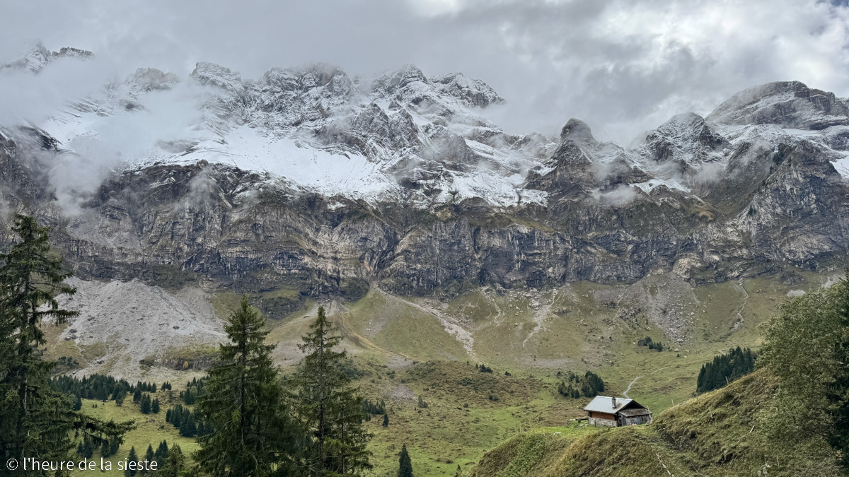 Randonnée Sentier nature, plateau de Barme, Champéry, Valais