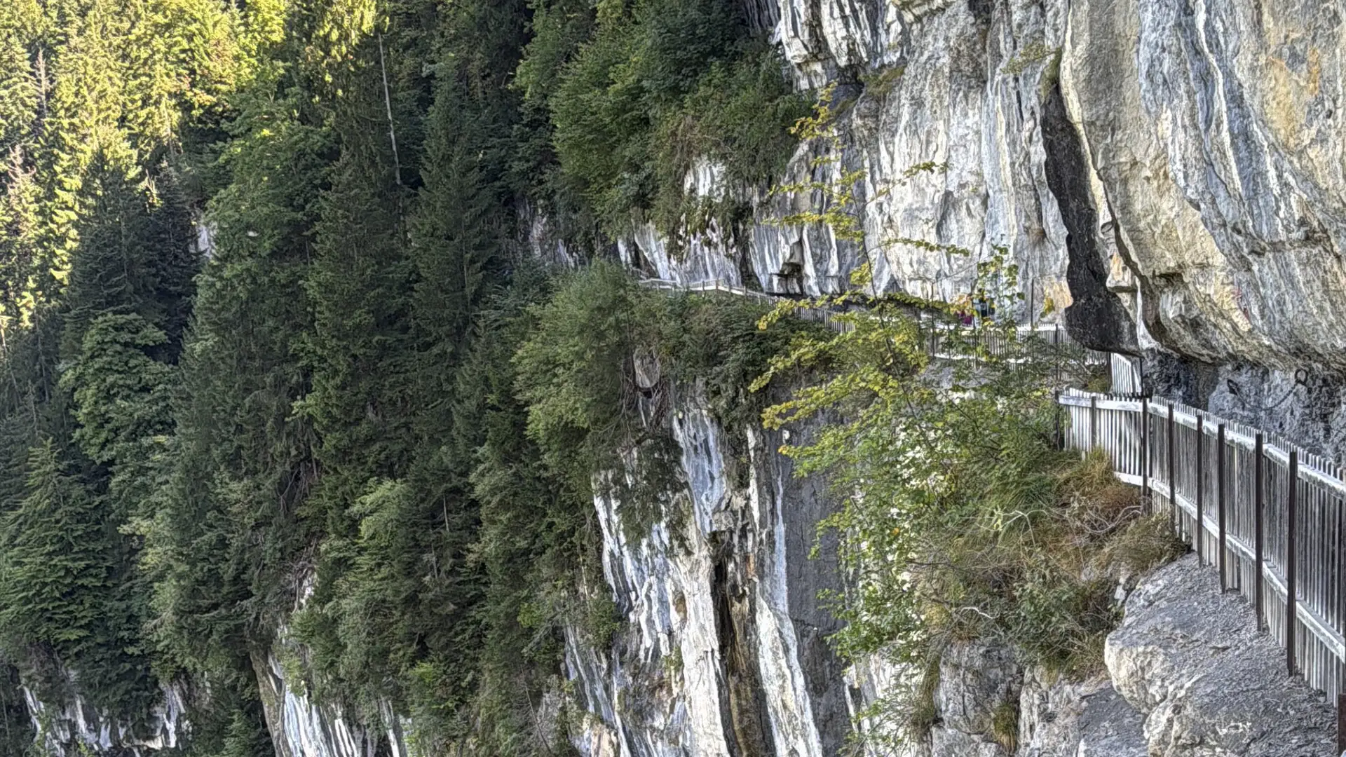 Les Galeries Défago à Champéry