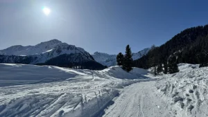 Sentier d’hiver de Siviez à Tortin