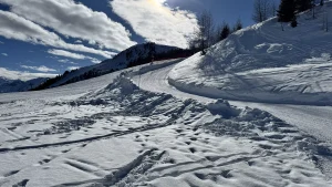 Luge Thyon