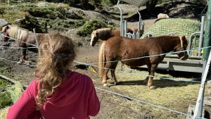 Mini-zoo de Jorasse à Ovronnaz